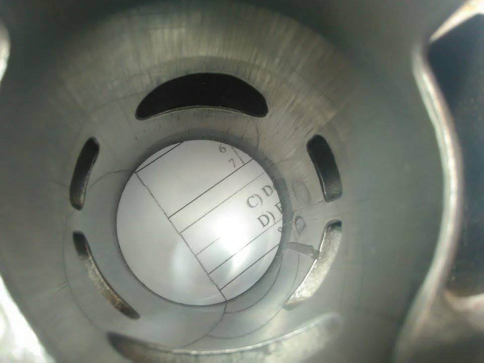 12900135_10208940539931272_1493686133_n