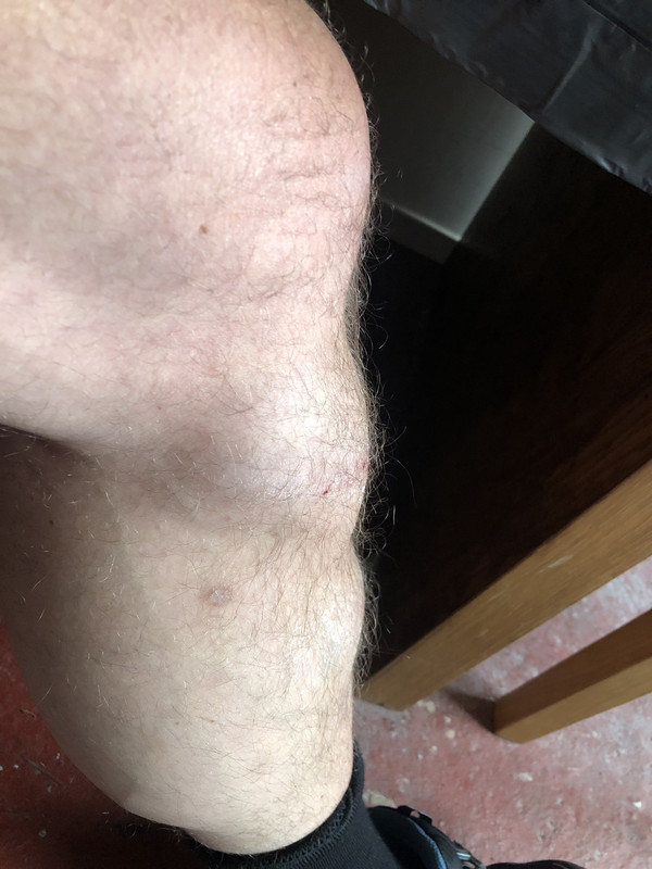 296E13C1-4DFF-4B2F-BEF0-2A2F1229DD33