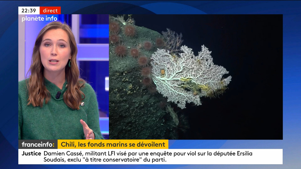 Planète info (Franceinfo)_2024_03_06_20_53_72.ts_snapshot_00.47.14.198