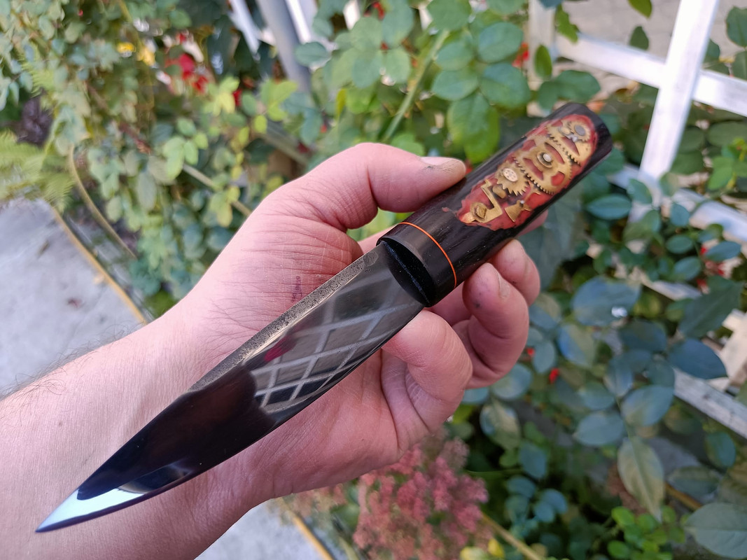 384734927_3372584782991221_6570353574094906215_n