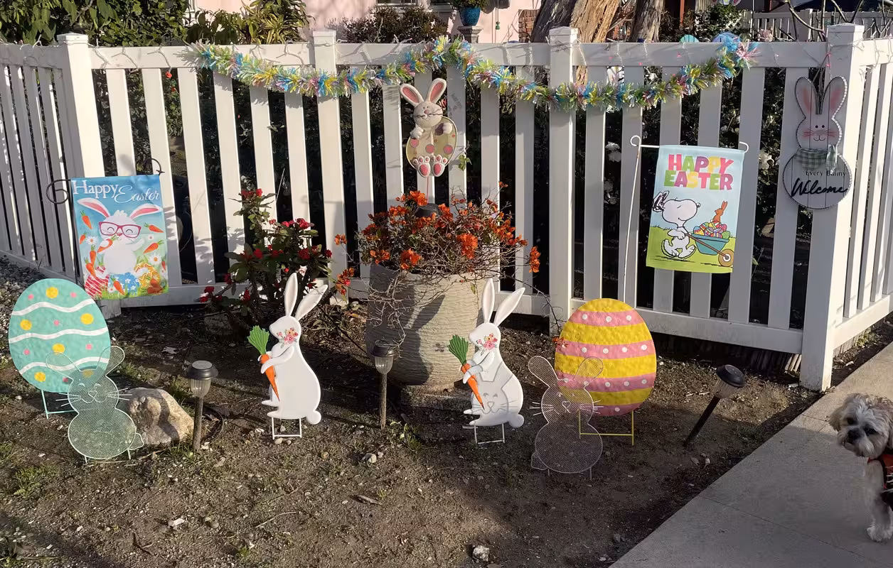 7A8AA628-B9A3-438B-952F-3B0CDC8C3114_1_201_a