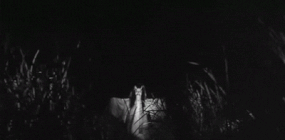 https://i.postimg.cc/SsGT80vB/ezgif-com-resize-1.gif
