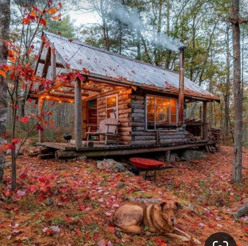 Screenshot_20230313_210921_Pinterest