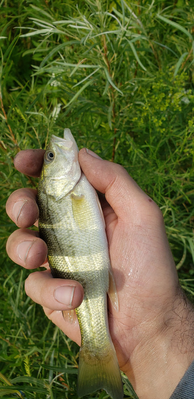 20230811-165220.jpg