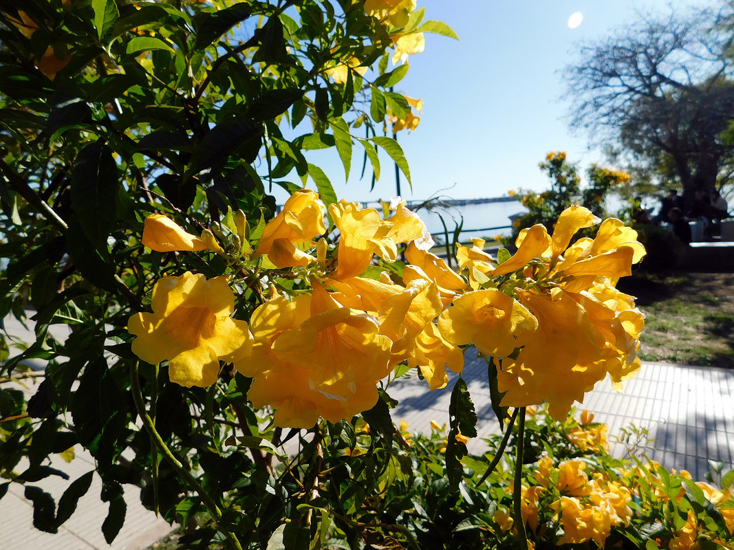 DSCN0468.jpg