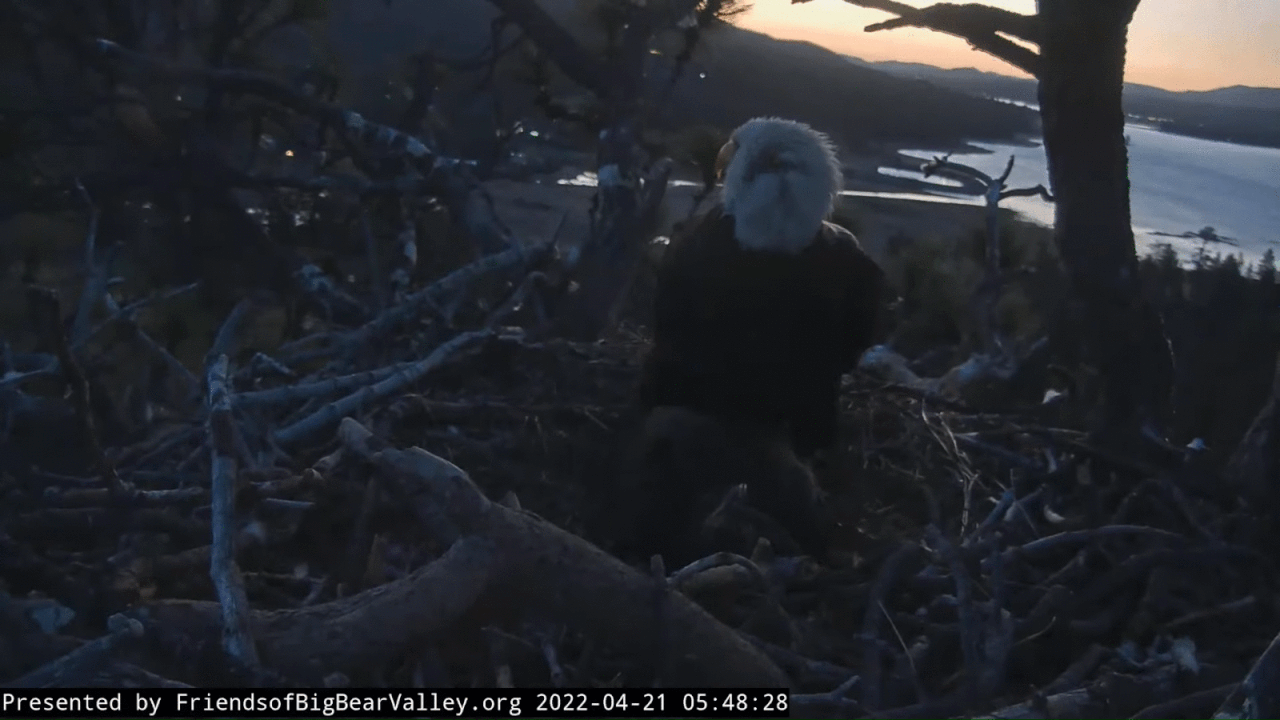 Webp.net-gifmaker (2)