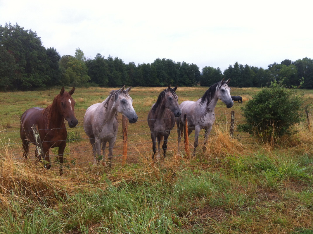 C07FCE18-CBCD-48C3-9E7F-E613A70A2A21