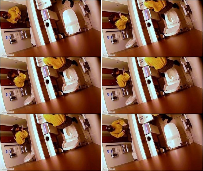 hidcam-mast-in-toilet-3.jpg