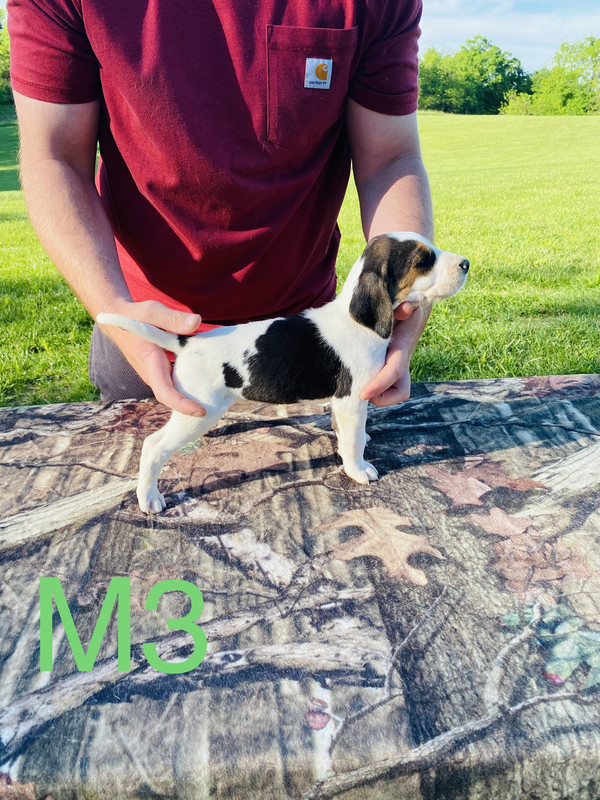 E8CCFBE7-8BE3-4E61-B3A2-3A64A45F38F6