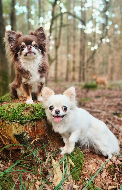 Lumii_20250812_102339099