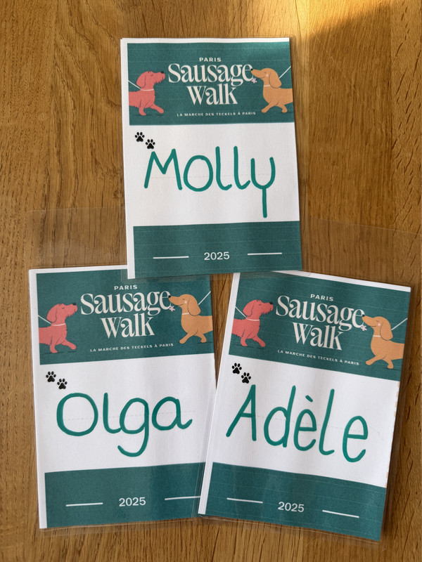 [Image: IMG-0230.jpg]