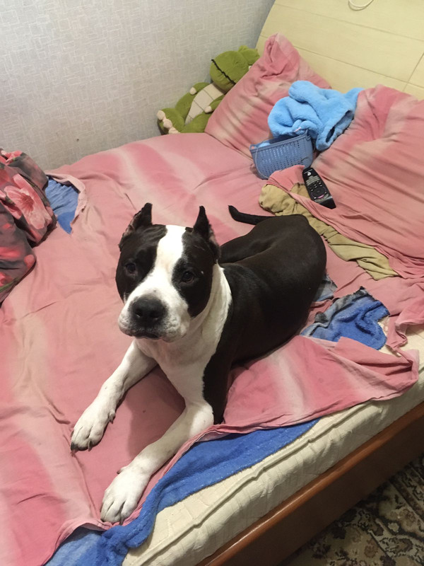 3ADBDD45-248A-4069-80A1-5231BFAFDC9B