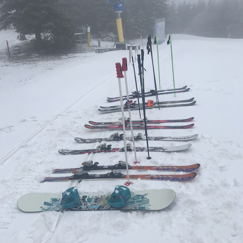 50C9BFFF-3F2B-43A5-884F-449AEA6C4353