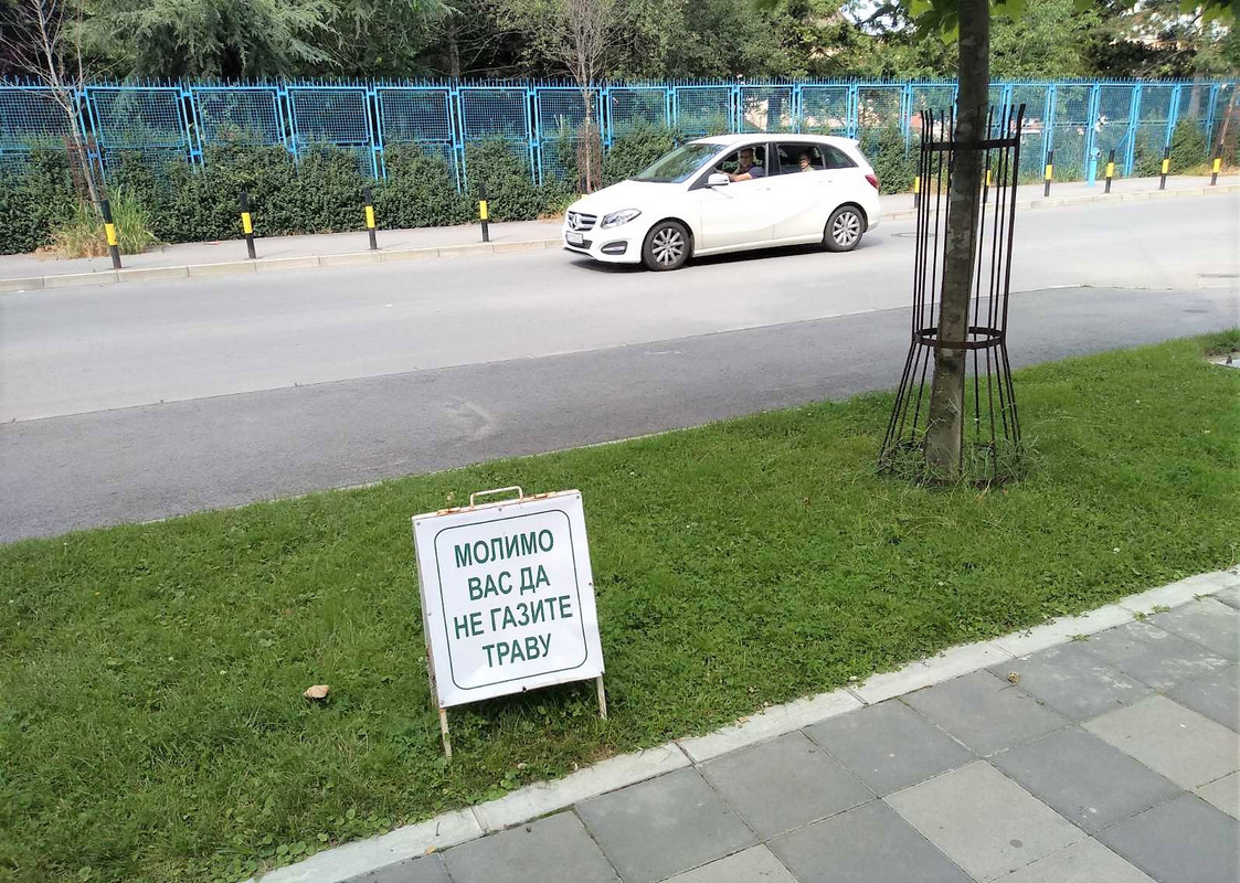 Савада16 2020-06-09