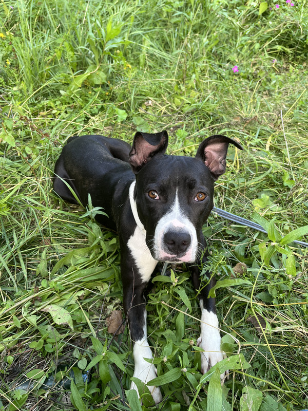 777EC15A-E563-4F8B-A400-3ECB16462735