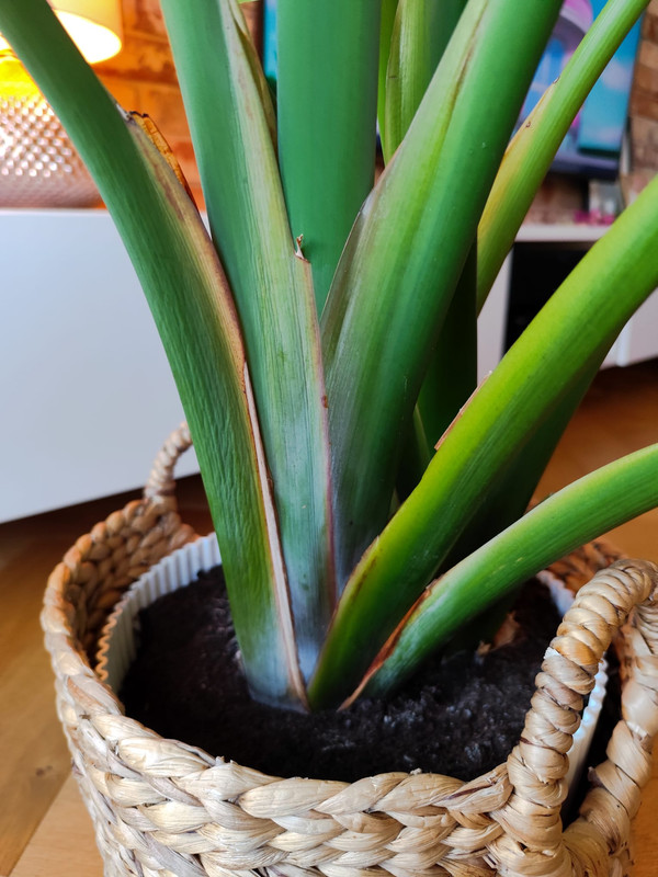 Zdjęcie WhatsApp 2025-08-25 o 19.17.14_e0b23a22