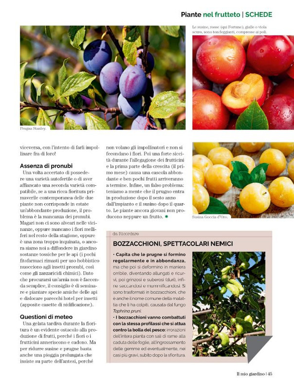 Il Mio Giar Ago-Set 2023 (8)