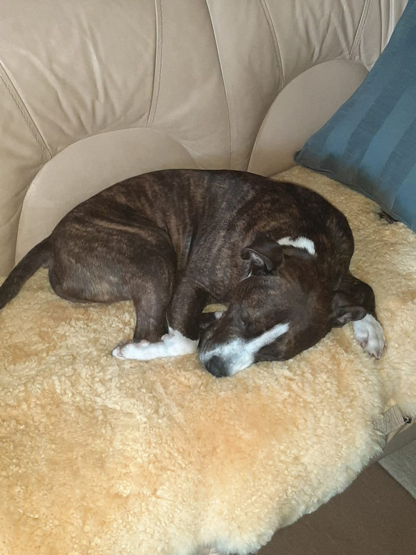 A8225751-EDE2-4AAC-BC00-9D6DEC8FDBDB