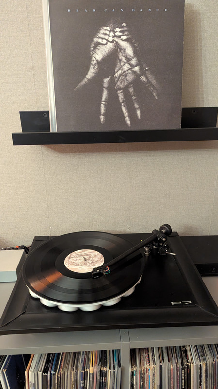 [Bild: PXL-20251126-203331492.jpg]