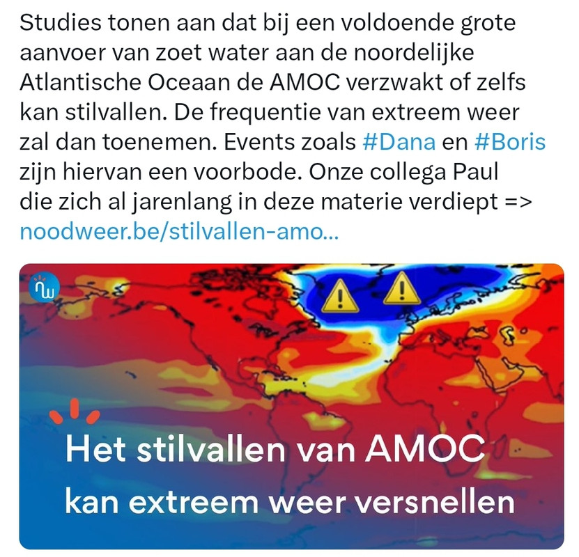 Screenshot-20241103-090901-X.jpg