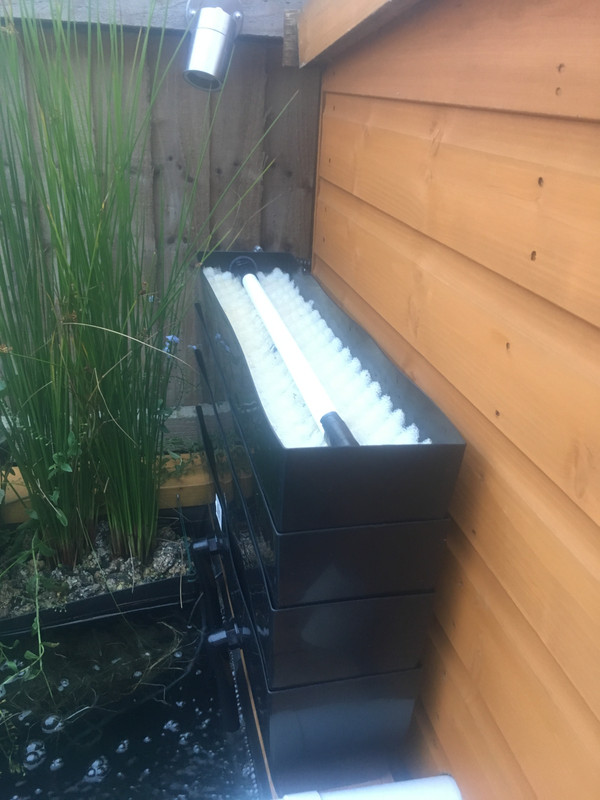 7DECA2E6-93F3-496D-B1FA-39E55577C660