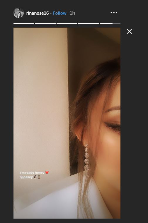 Make up Rina Nose
