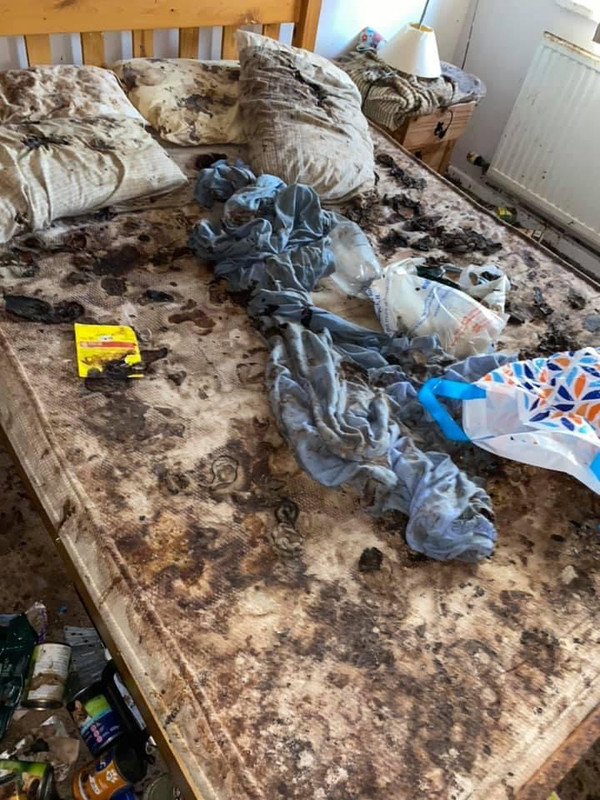 7E095C32-C245-452A-8541-E40CB799A1DC