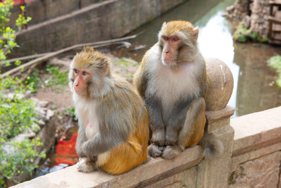 Yunnan 2019 - Blogs de China - Dia 4 - De camino a Lijiang (2)