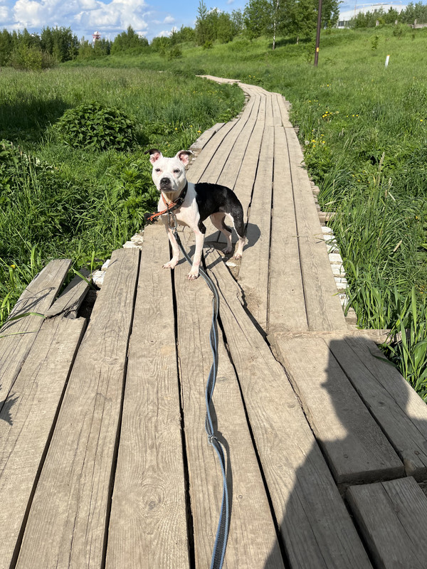 32901CC8-C1CB-4E16-A32B-A5B749DC0104