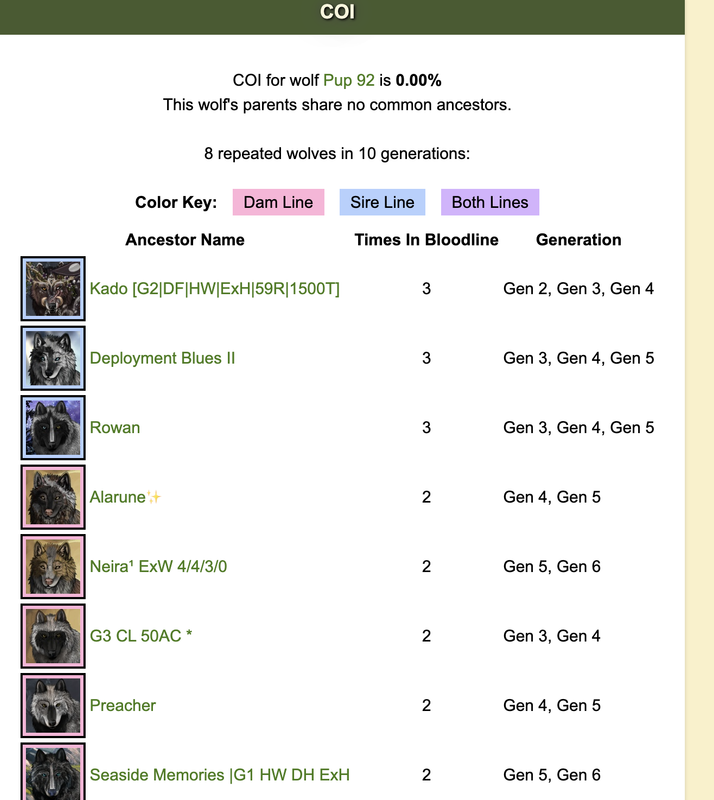 Screenshot-2025-08-16-at-1-46-47-PM.png