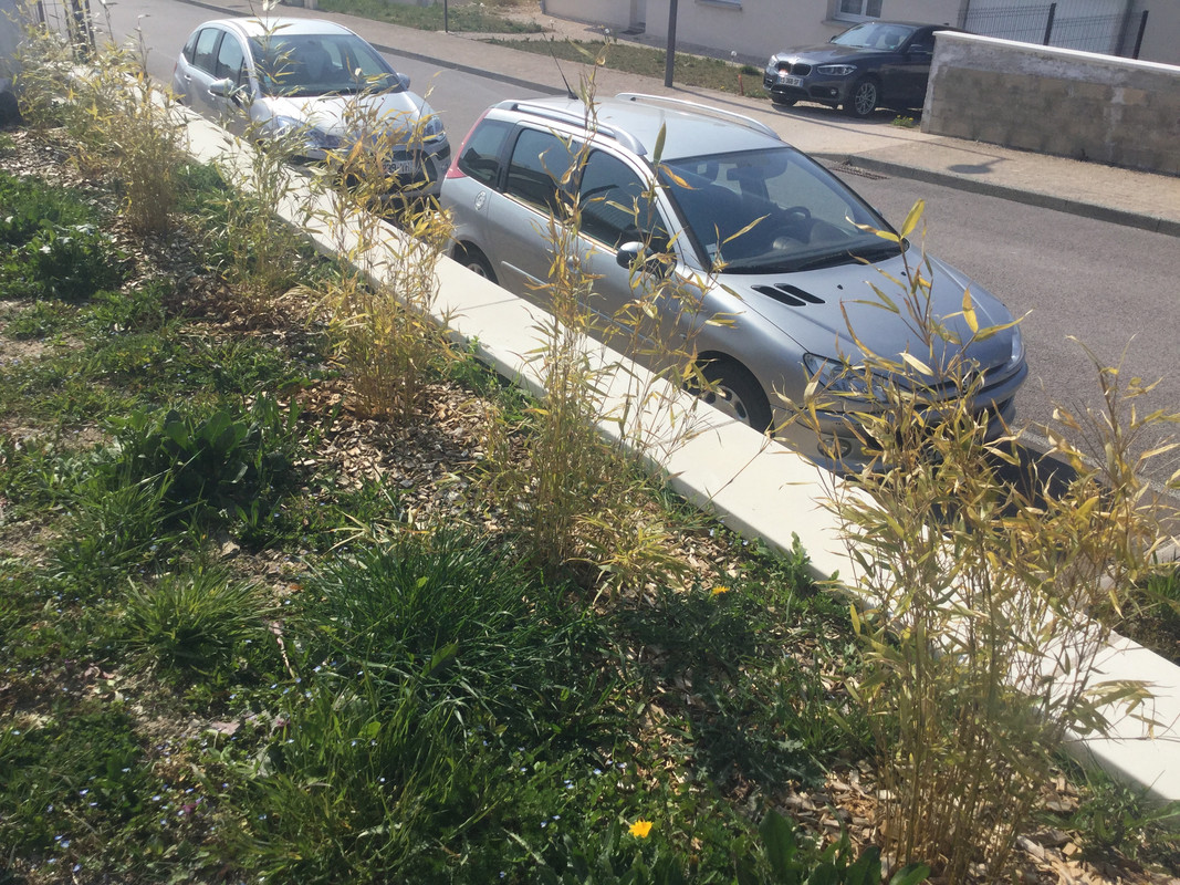 E1094F75-39C4-40D6-959A-F7B24E1D05A9