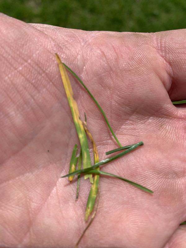 CD8F7A08-9624-4239-82BC-F32F1B7578DD