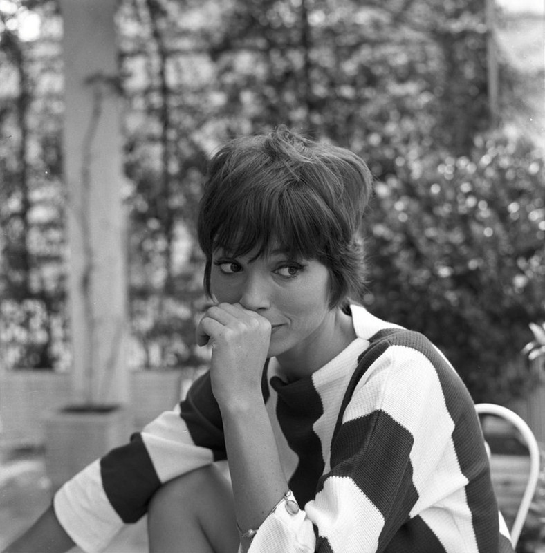 elsa_martinelli_d63