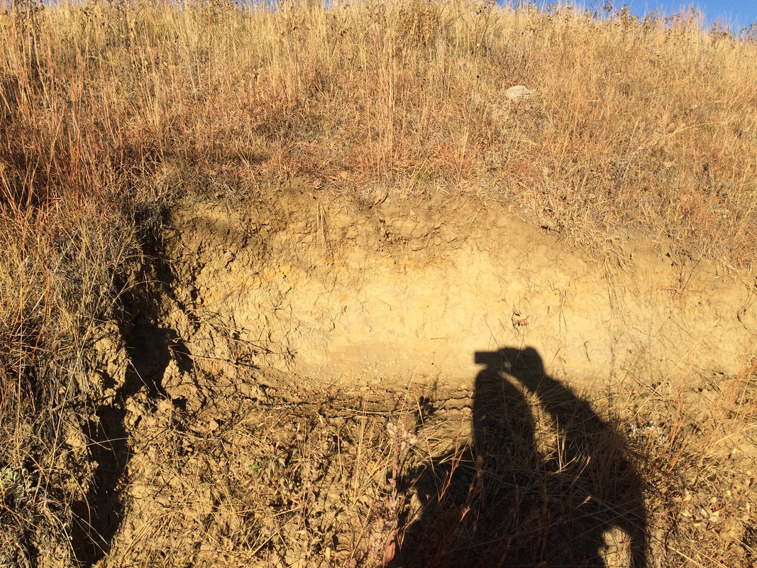 EFF35618-FAFC-40DD-BA31-2C98E96090EE