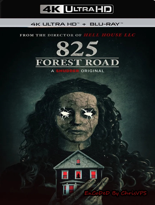 825 Forest Road (2025) MULTI.HDR.2160p.BDRemux.DTS.HD.MA.AC3-ChrisVPS / LEKTOR i NAPISY