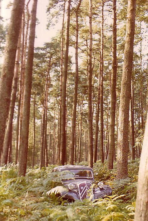 En forêt-02
