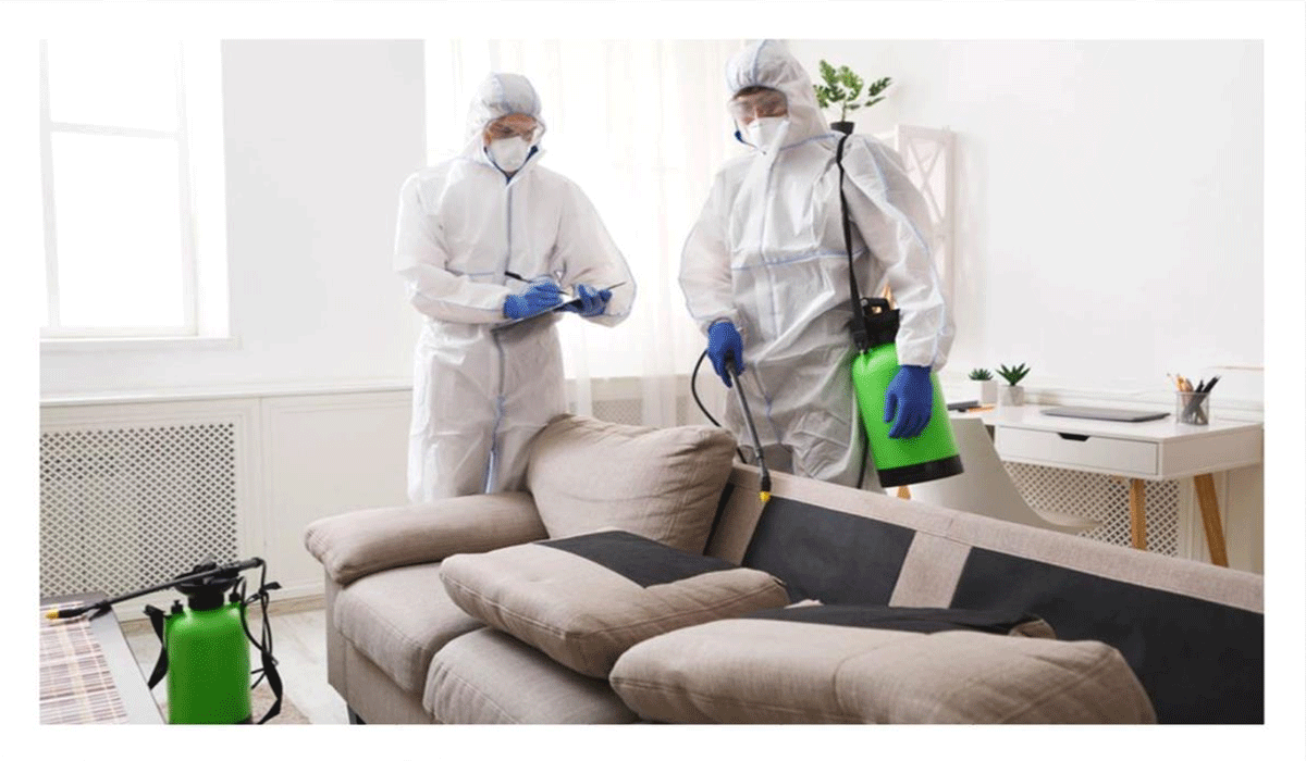 Pest Control Representatives, Effective Tips for a Safe and Clean Home