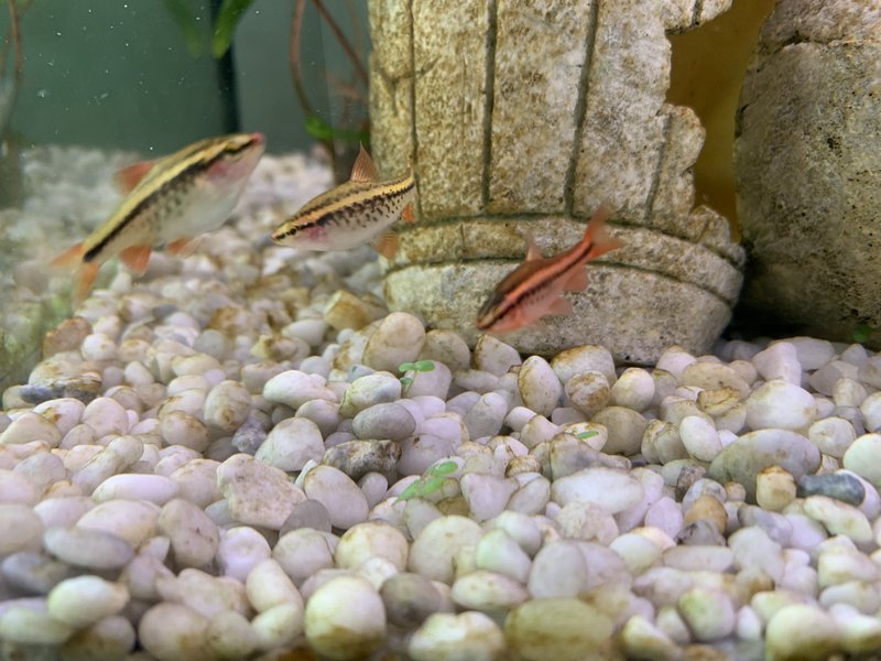 023558B0-1BF6-4945-BDE4-03EEE1AD019D