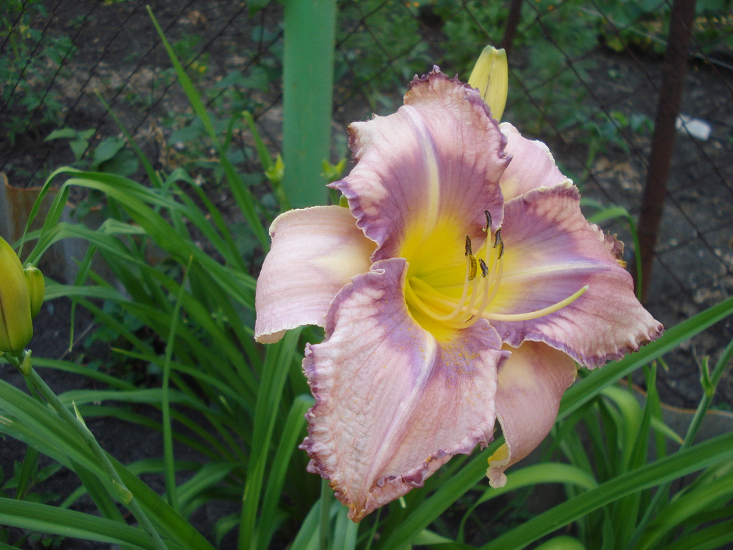 DSC04046