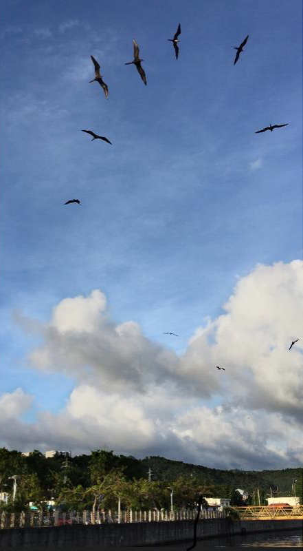 54_F60388-_E7_BA-4_B7_E-8_B0_A-794_AC0_B5_BC6_E