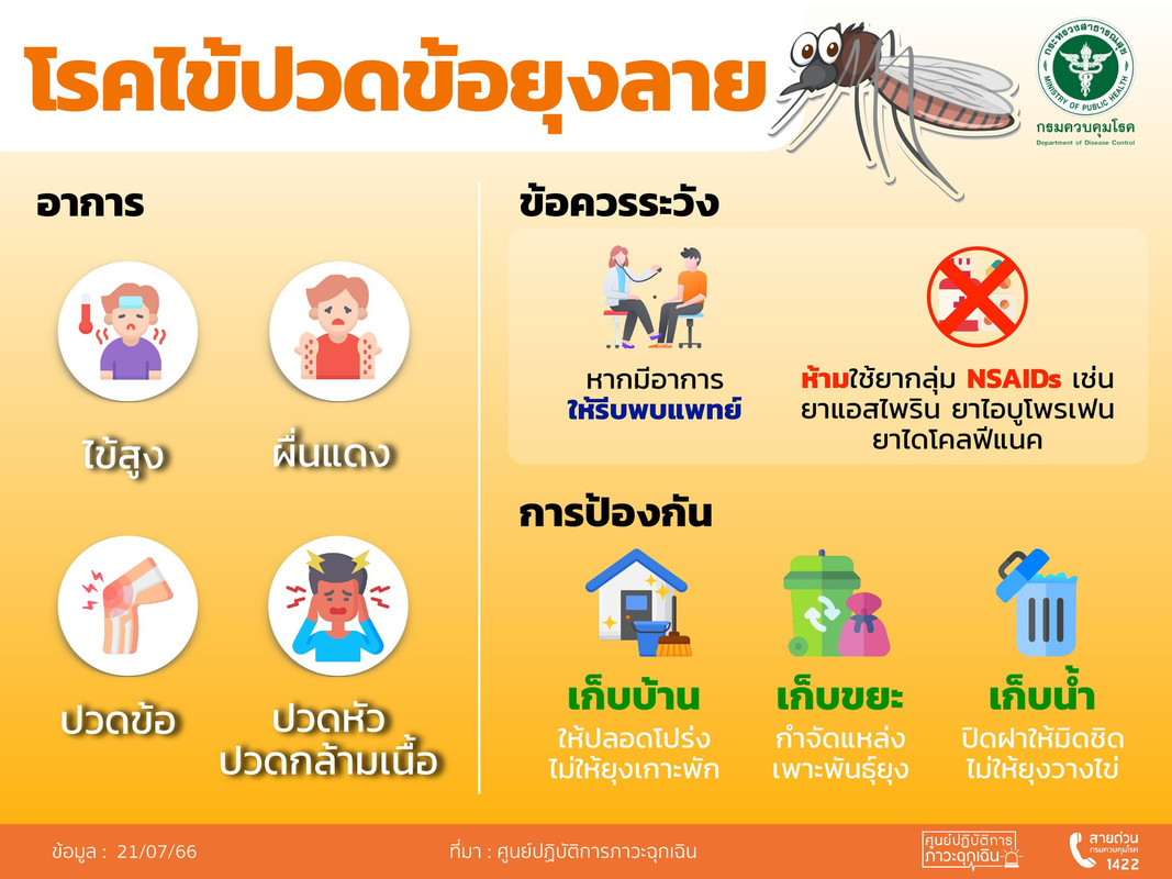 mos Chikungunya disease