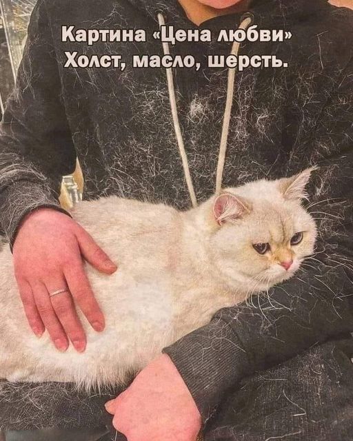 Позитивчик (фото, видео, рассказы для хорошего настроения)