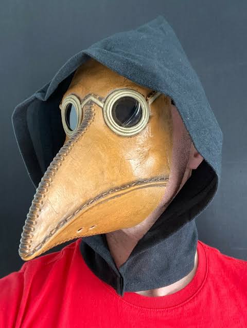IMG 0595