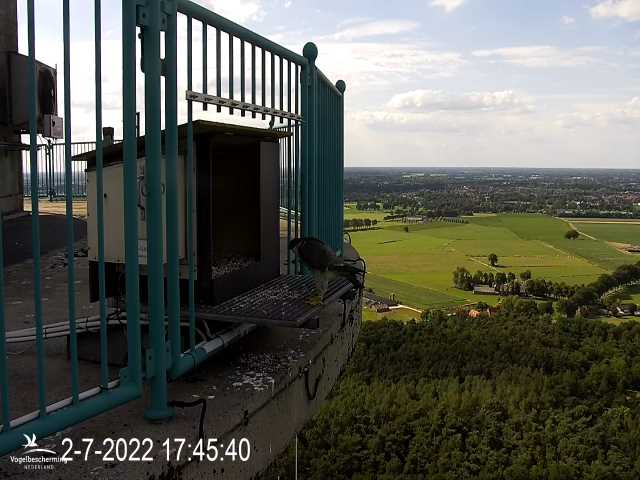 campics - campics © VWGGemert vanaf 1 juli 2022 2