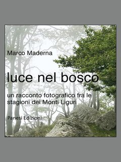 Marco Maderna - Luce nel bosco (2024)