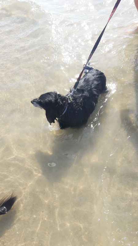 [Image: 20200811-172605.jpg]