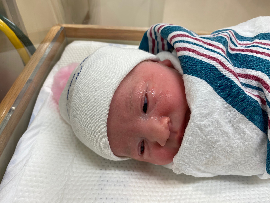 E19EE5A9-7E80-409C-9BC6-5D3DB957AB6D