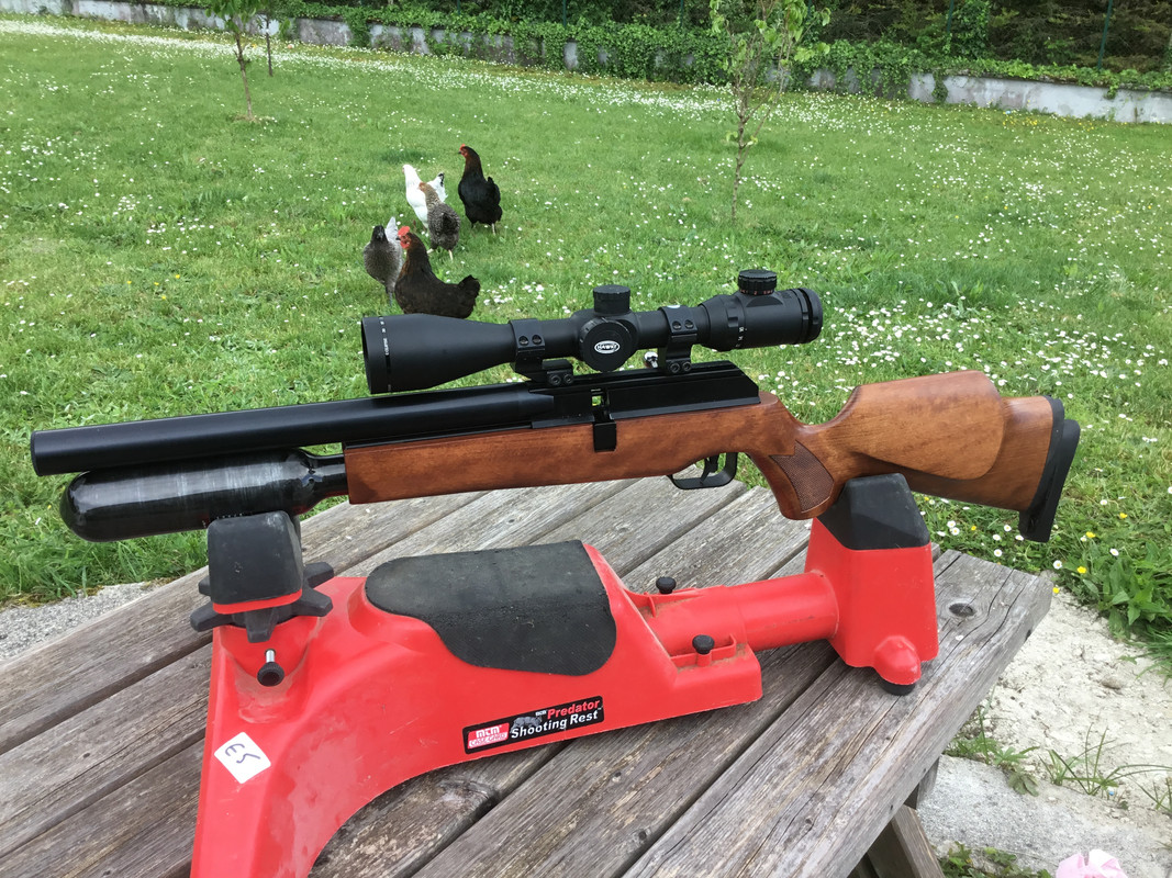 4EDEB5E7-5633-40CC-AB54-6C193758C4E4