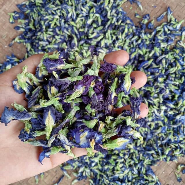 Dried Butterfly Pea Flower