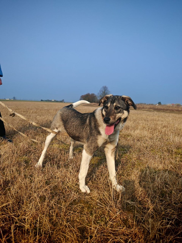 16n6hmJmIQr8L2raOFqdaDkmTYueX5J8pEmVhKmxiviyAztD_VLfqEjfIfz7cERjODwgzipU2W_5omCnk8VSkpLd